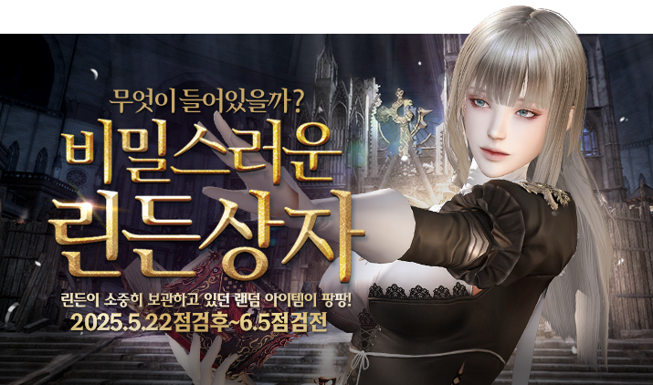 250522 린든상자 릴리