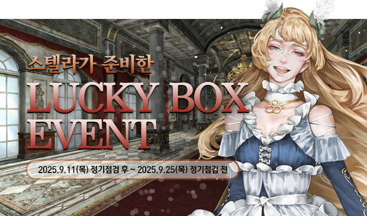 250911 스텔라 상자