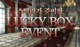 250612 스텔라 특판