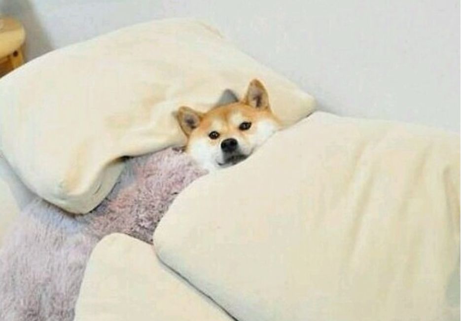 프로필이미지
