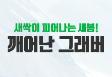 새싹이 피어나는 새봄! 깨어난 그래버